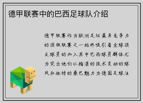 德甲联赛中的巴西足球队介绍